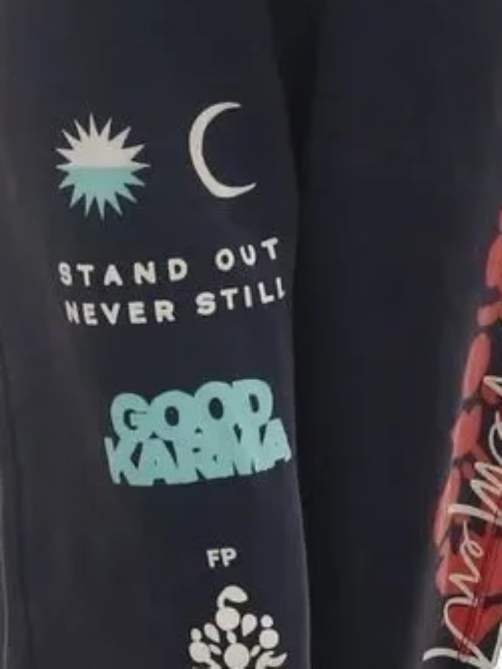 FP ALL STAR GRAPHIC LOGO PANTS IN MIDNIGHT COMBO - Picture 7 of 8